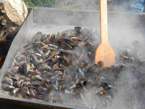 Brasucade de moules